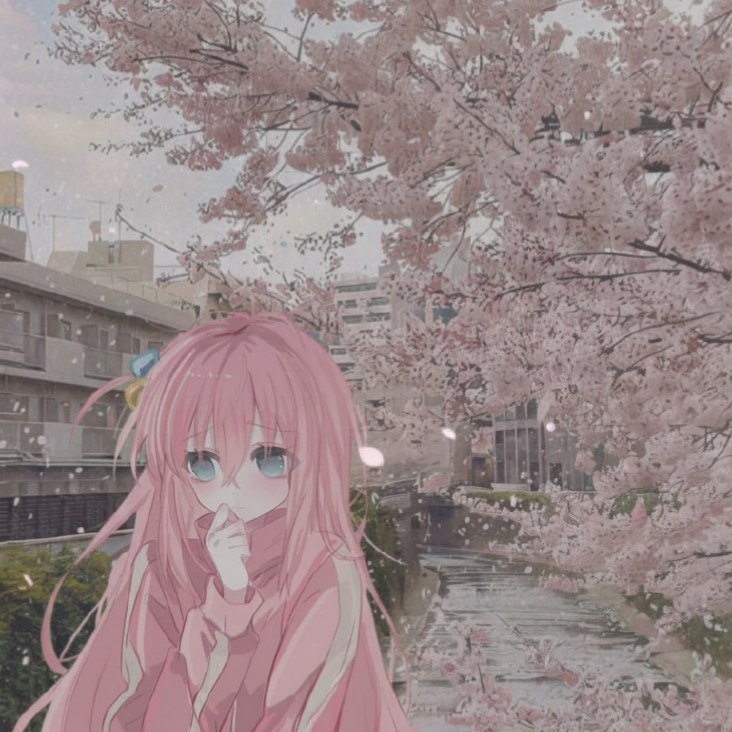 CUTEBOBR